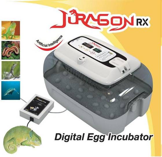 Juragon RX-20
