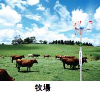 設置場所