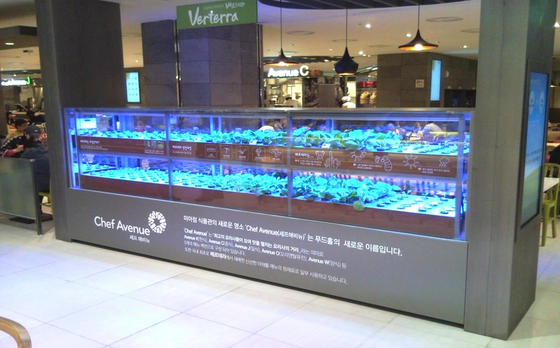 水耕栽培、お店のイメージ